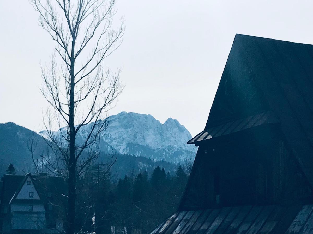 Willa Pod Gorami Zakopane Kültér fotó