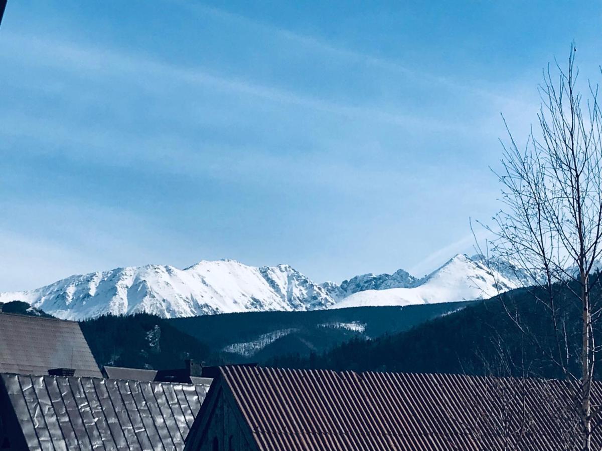 Willa Pod Gorami Zakopane Kültér fotó