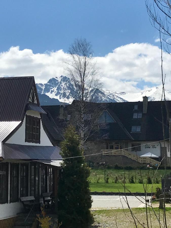 Willa Pod Gorami Zakopane Kültér fotó