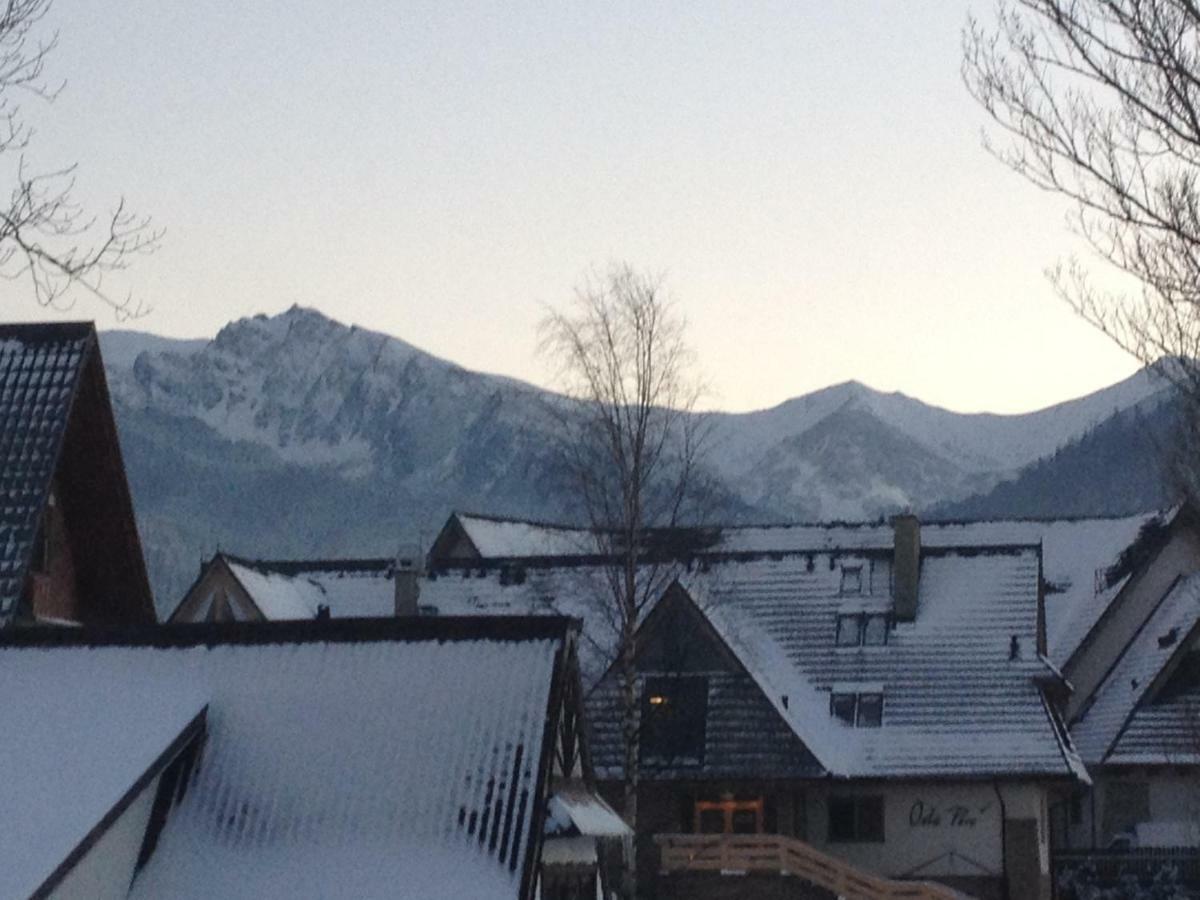 Willa Pod Gorami Zakopane Kültér fotó